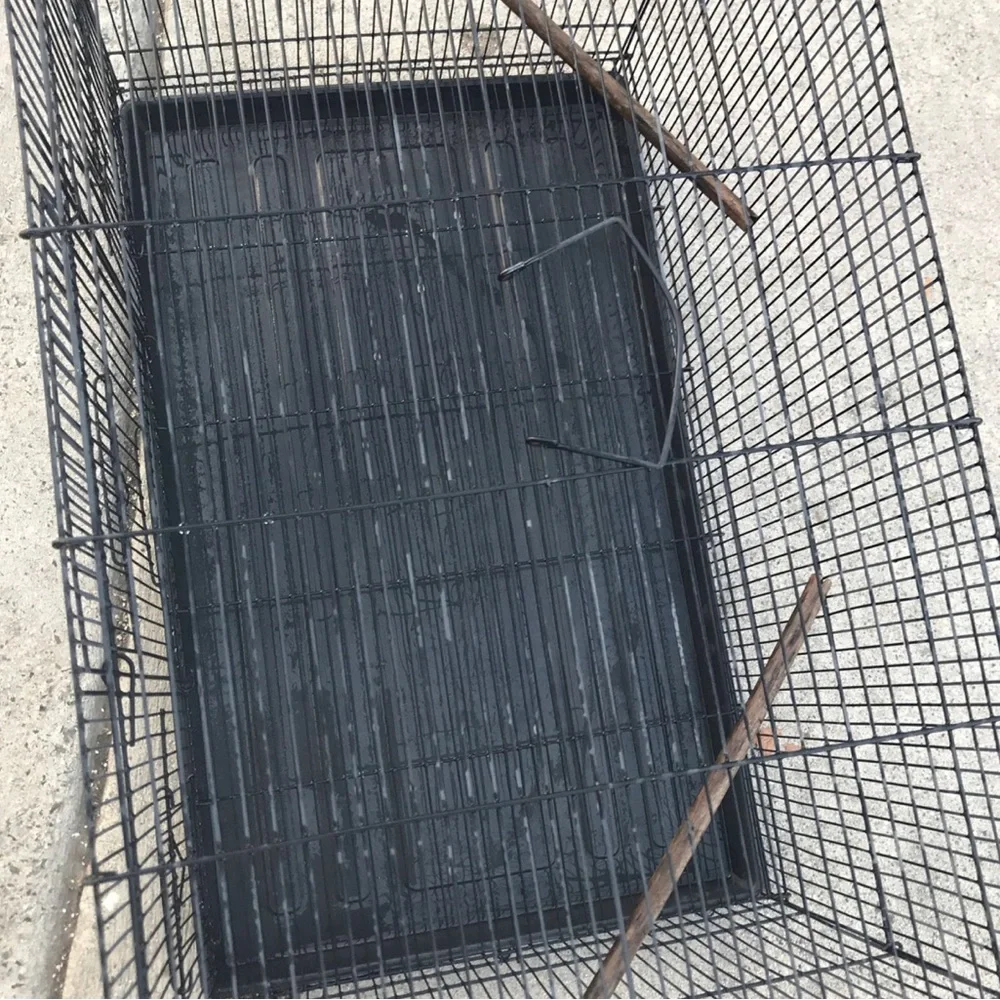 Bird cage